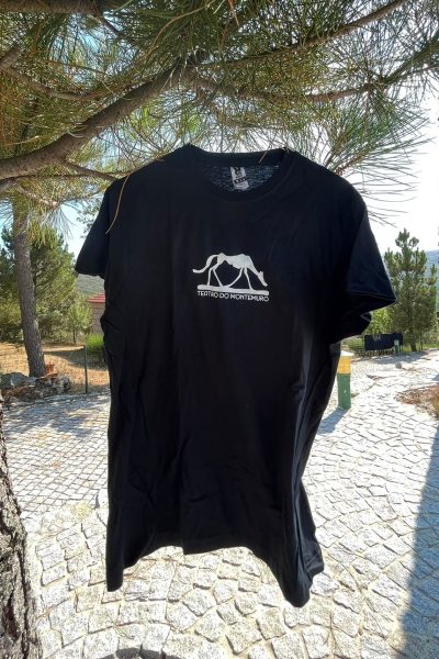 t-shirt2